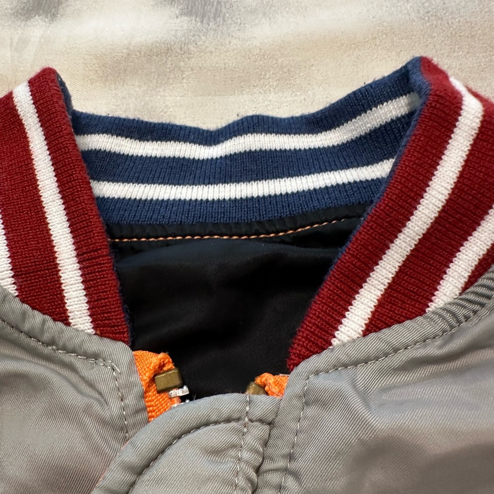 Reversible Multi Colored Alpha Industries Multico… - image 7